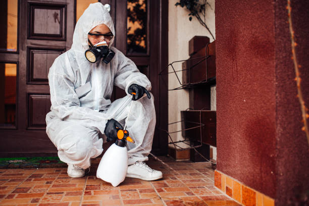 Reliable Cockroach Control contractor in Moyie Springs, ID by Nex Pest Control