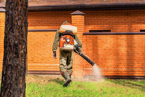 Top rated local Cockroach Control specialists in Moyie Springs, ID